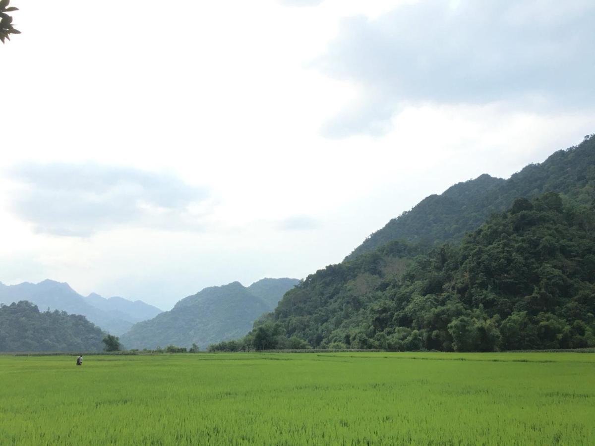 Hoang Quan Homestay Ba Be المظهر الخارجي الصورة